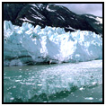 Pribilof Islands